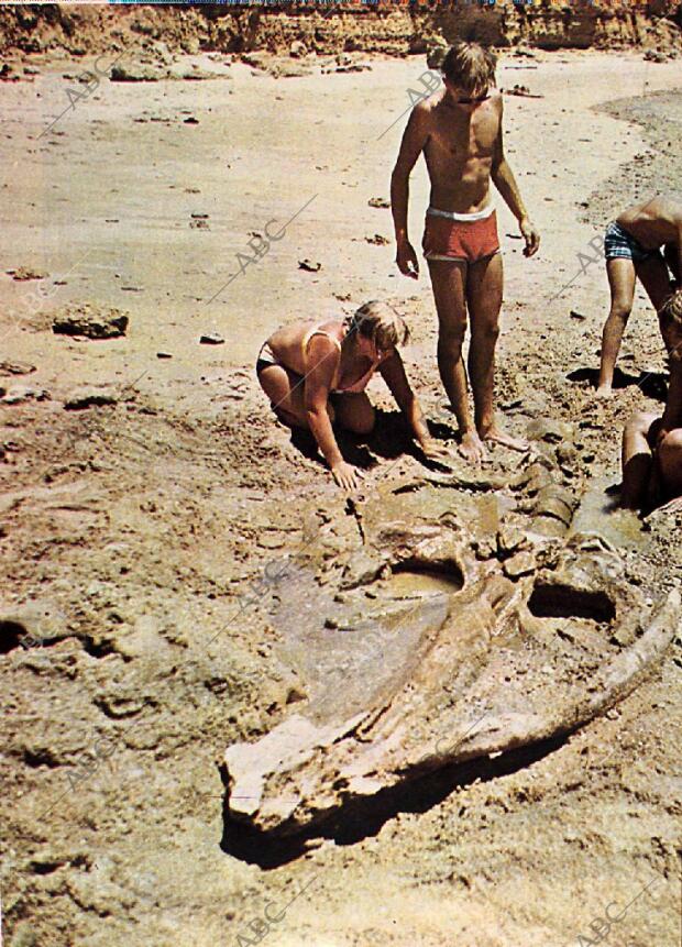 BLANCO Y NEGRO MADRID 28-08-1971 página 68