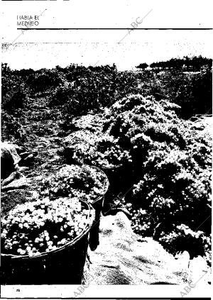 BLANCO Y NEGRO MADRID 28-08-1971 página 72