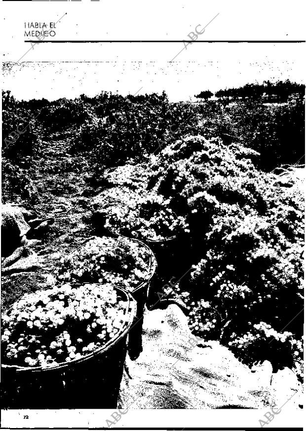 BLANCO Y NEGRO MADRID 28-08-1971 página 72