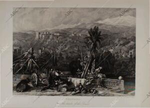 BLANCO Y NEGRO MADRID 11-09-1971 página 86