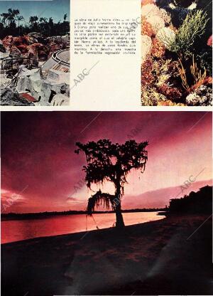 BLANCO Y NEGRO MADRID 25-09-1971 página 49