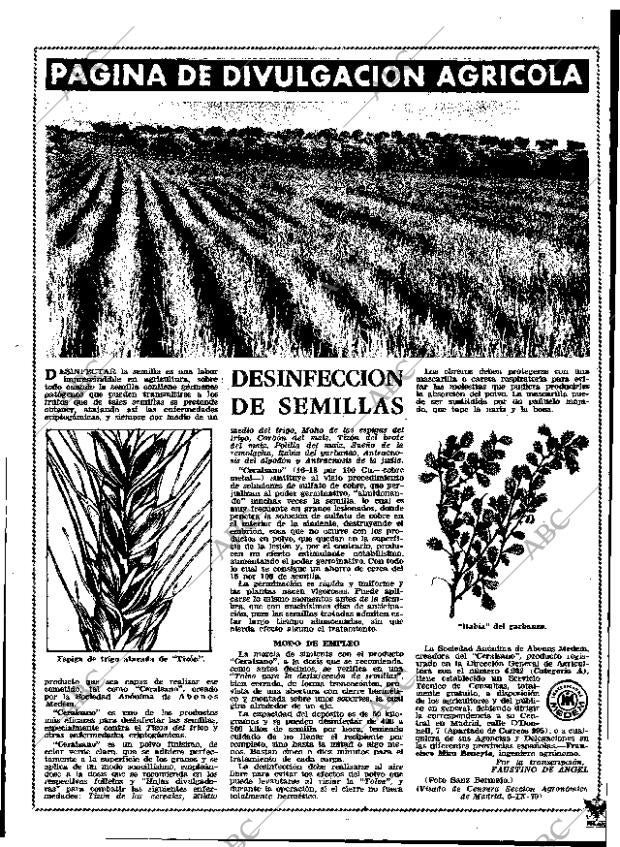 ABC MADRID 01-10-1971 página 113