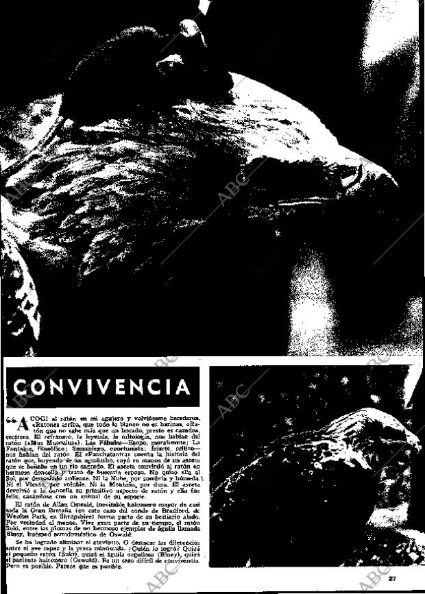 ABC MADRID 31-10-1971 página 139