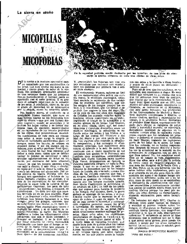 ABC SEVILLA 13-11-1971 página 25