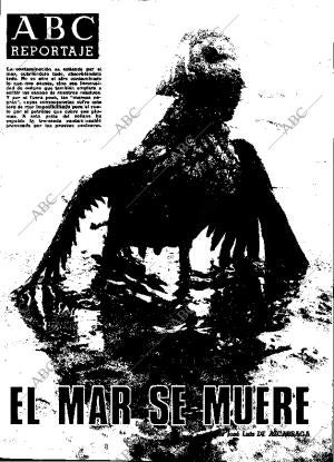 ABC MADRID 20-11-1971 página 113