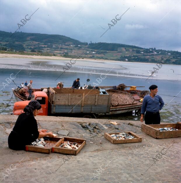 Cedeira (La Coruña), 1972. Imagen de unos pescadores en la ría