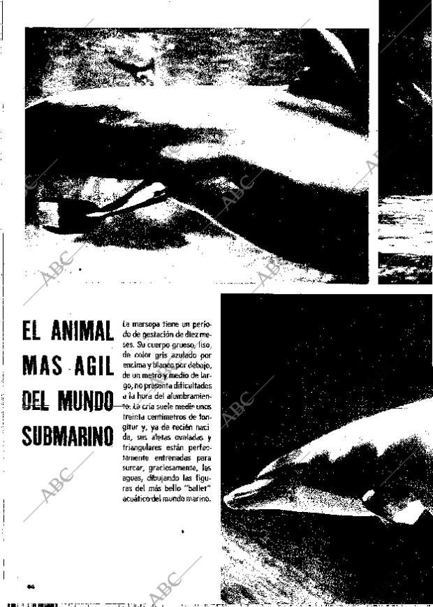 BLANCO Y NEGRO MADRID 18-03-1972 página 64