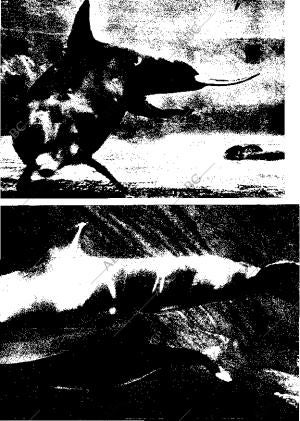 BLANCO Y NEGRO MADRID 18-03-1972 página 65