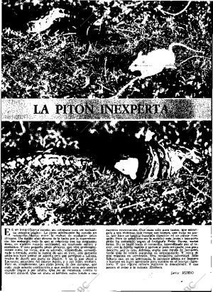 ABC MADRID 30-04-1972 página 161
