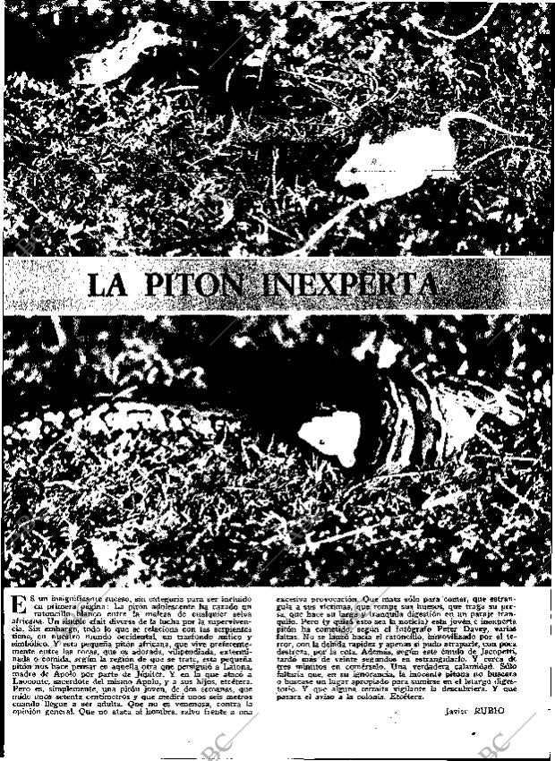 ABC MADRID 30-04-1972 página 161