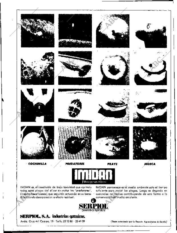 ABC SEVILLA 25-07-1972 página 4