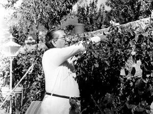 El poeta Luis Rosales en su casa de Cercedilla