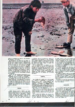 ABC MADRID 03-09-1972 página 124