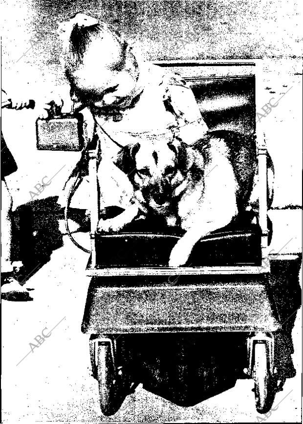 ABC MADRID 17-09-1972 página 132