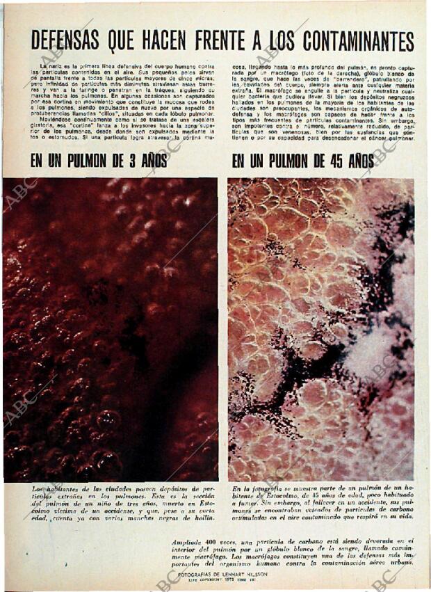 BLANCO Y NEGRO MADRID 14-10-1972 página 84