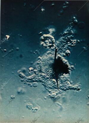 BLANCO Y NEGRO MADRID 14-10-1972 página 85