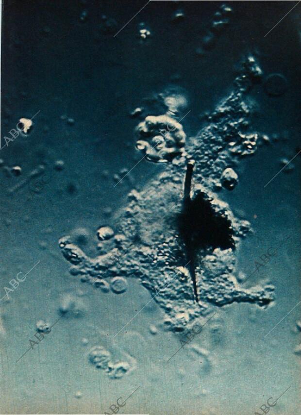 BLANCO Y NEGRO MADRID 14-10-1972 página 85