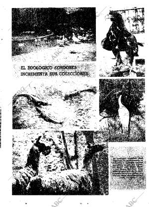 ABC SEVILLA 18-10-1972 página 29
