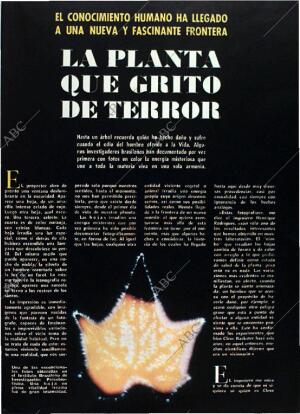 BLANCO Y NEGRO MADRID 28-10-1972 página 29