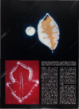 BLANCO Y NEGRO MADRID 28-10-1972 página 30