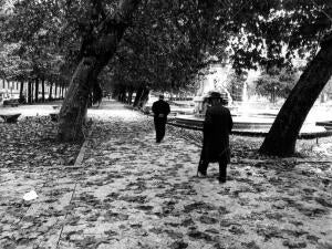 El Paseo del Prado en otoño cubierto de hojas secas