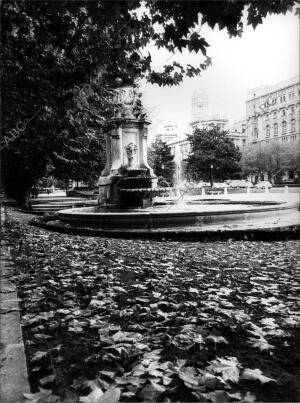 Fuente del paseo del prado Repleta de Hojas Secas