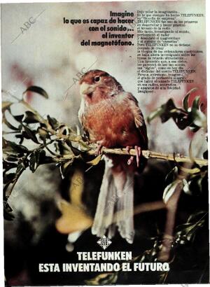 BLANCO Y NEGRO MADRID 04-11-1972 página 19