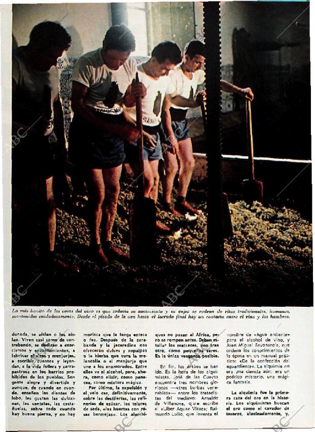 BLANCO Y NEGRO MADRID 18-11-1972 página 53