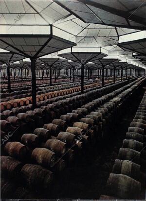 BLANCO Y NEGRO MADRID 18-11-1972 página 55