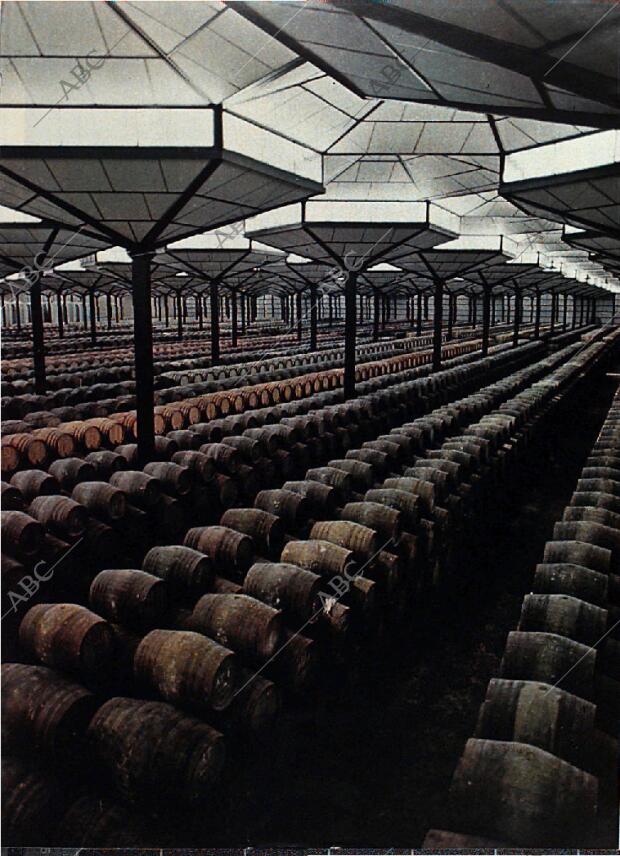 BLANCO Y NEGRO MADRID 18-11-1972 página 55