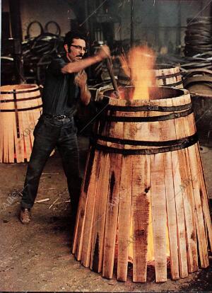 BLANCO Y NEGRO MADRID 18-11-1972 página 58