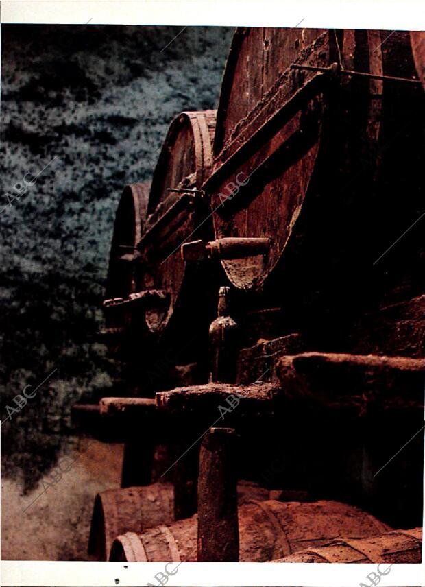 BLANCO Y NEGRO MADRID 18-11-1972 página 64