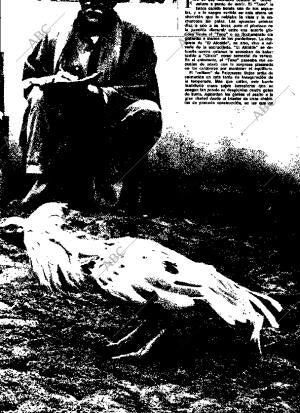 ABC MADRID 07-01-1973 página 127