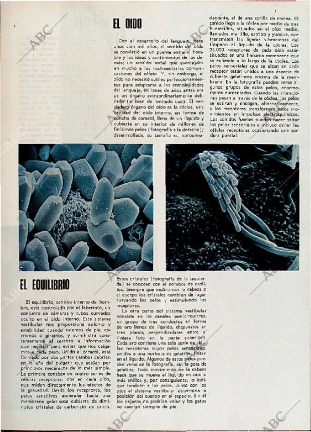 BLANCO Y NEGRO MADRID 10-02-1973 página 52
