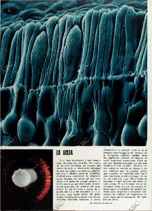 BLANCO Y NEGRO MADRID 10-02-1973 página 54