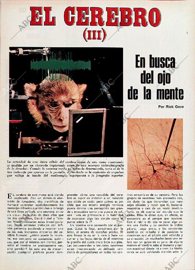 BLANCO Y NEGRO MADRID 24-02-1973 página 39