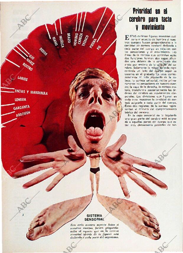 BLANCO Y NEGRO MADRID 24-02-1973 página 44