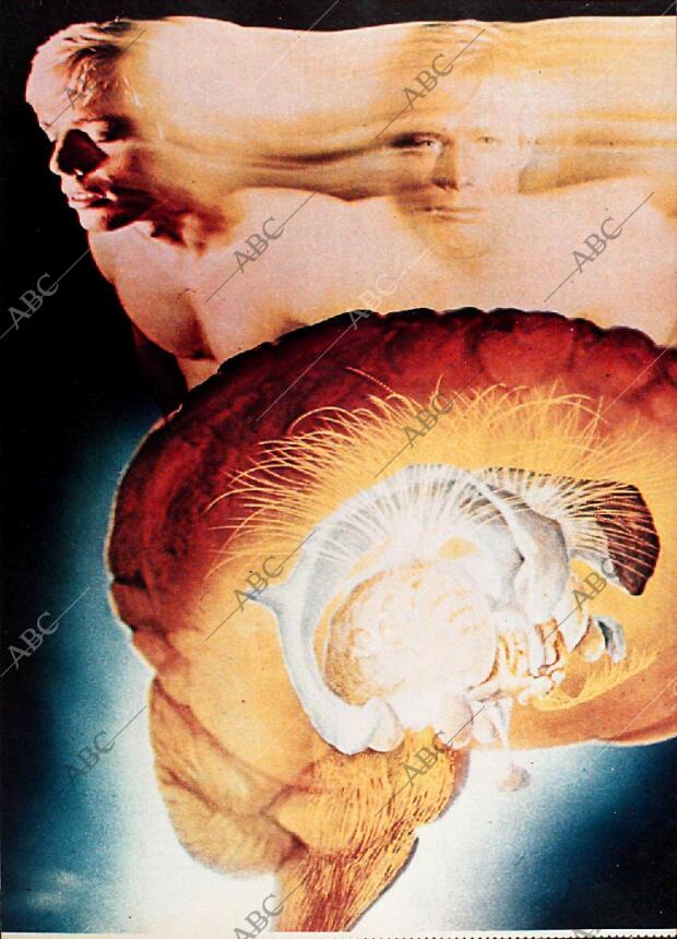 BLANCO Y NEGRO MADRID 24-02-1973 página 46