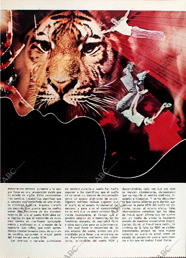 BLANCO Y NEGRO MADRID 24-02-1973 página 49