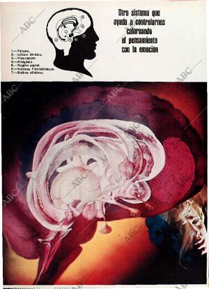 BLANCO Y NEGRO MADRID 24-02-1973 página 50