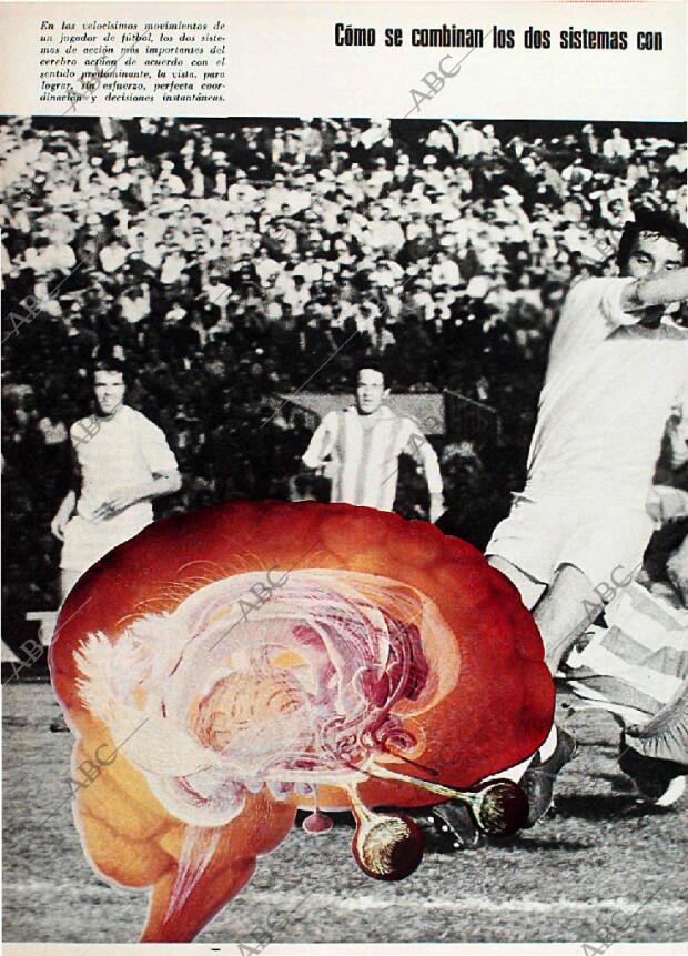 BLANCO Y NEGRO MADRID 24-02-1973 página 52