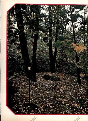 BLANCO Y NEGRO MADRID 07-04-1973 página 50