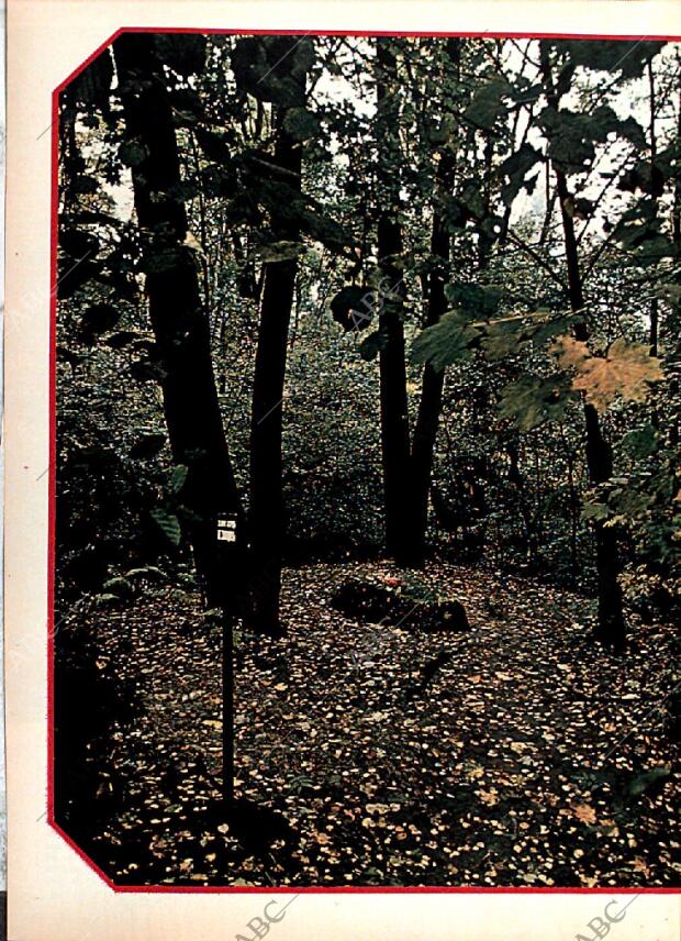 BLANCO Y NEGRO MADRID 07-04-1973 página 50