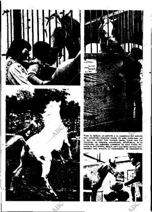 ABC MADRID 09-06-1973 página 144