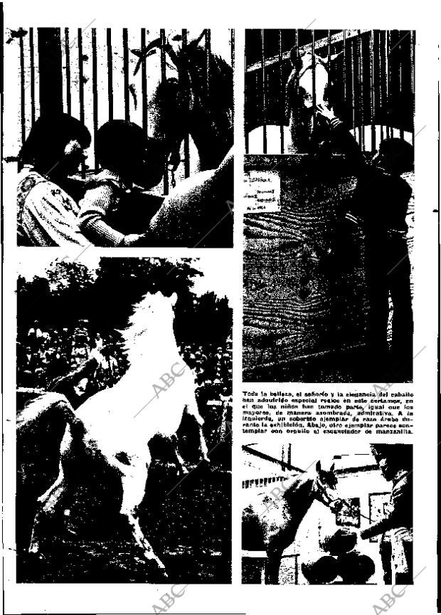 ABC MADRID 09-06-1973 página 144
