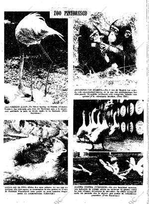 ABC SEVILLA 24-06-1973 página 79