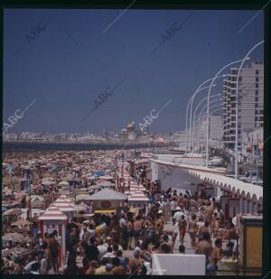 Playa de la Victoria y una parte del paseo marítimo, con casetas, bañistas y...