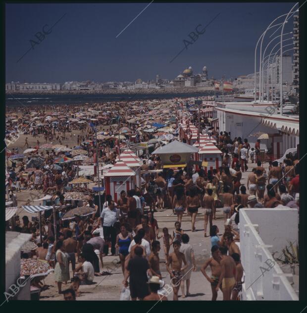 Playa de la Victoria y una parte del paseo marítimo, con casetas, bañistas y...