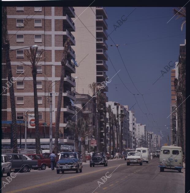 Avenida de Ana Viya, enmarcada por modernos edificios de apartamentos y palmeras