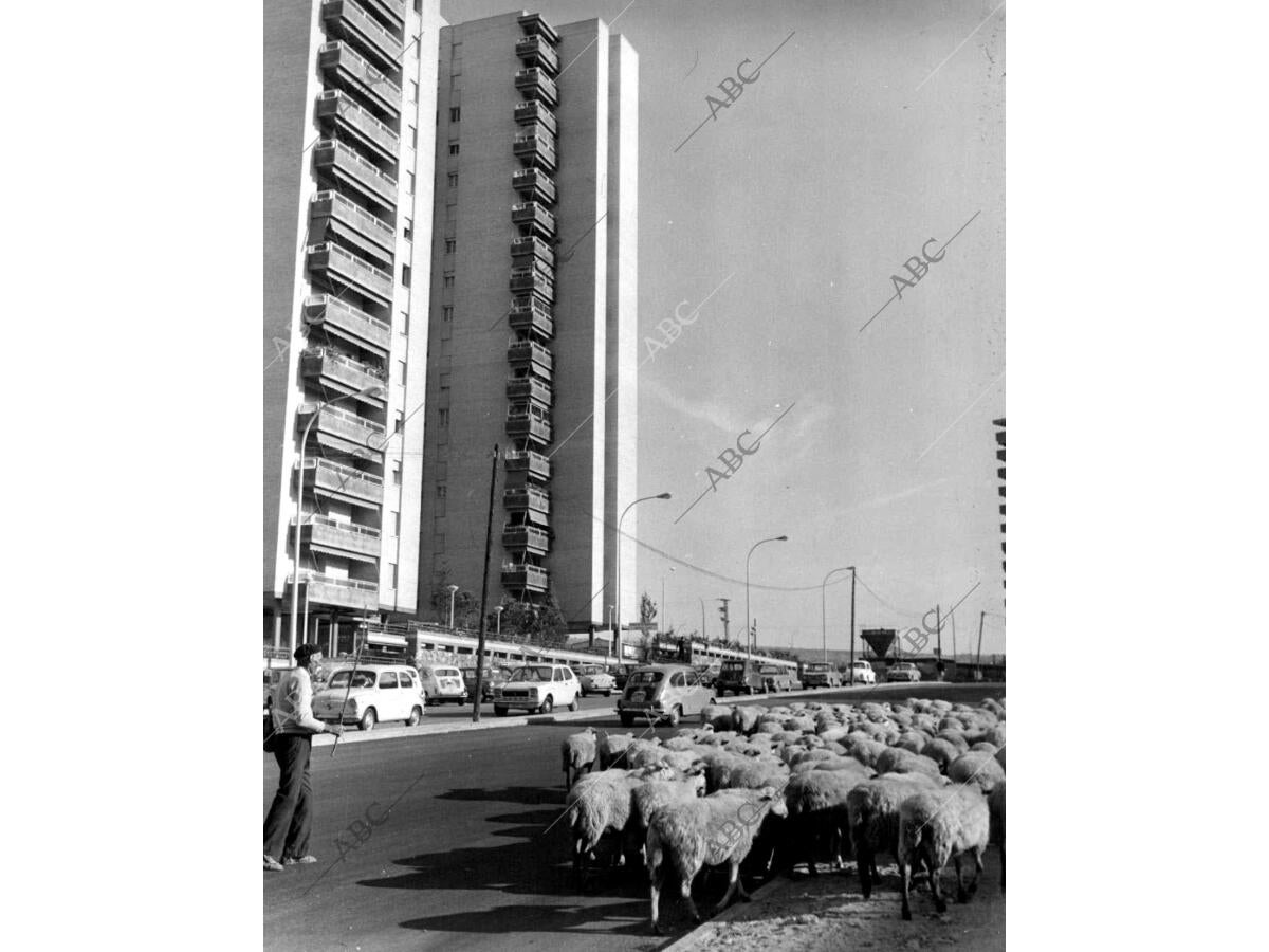 Cañada real A su paso por Madrid Archivo ABC